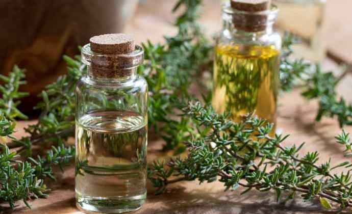 THYME WATER FOR HAIR BENEFITS