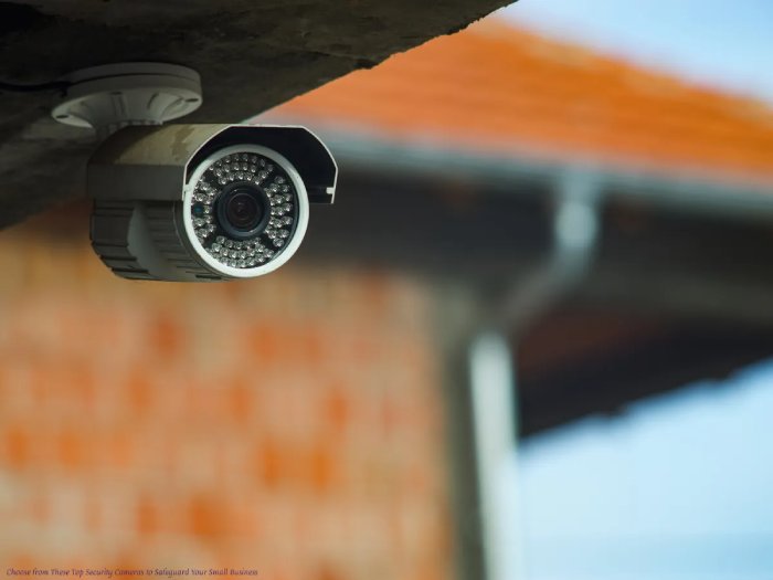 Choose from These Top Security Cameras to Safeguard Your Small Business