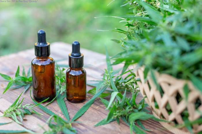 How to Use CBD for Pain Relief Effectively?