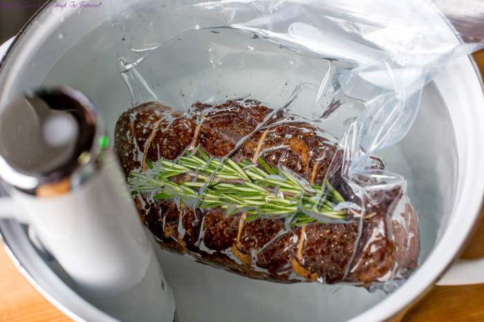 Why Is Sous Vide Steak So Famous?